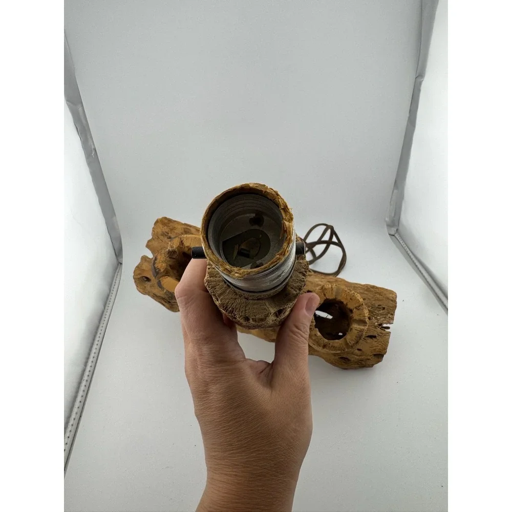 Cholla Cactus Lamp Rustic Desert‎ Decor Table Lamp Unique Accent Lighting